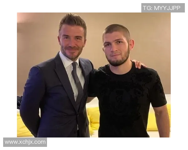 小鹰足球明星的崛起与成就揭秘你不知道的背后故事