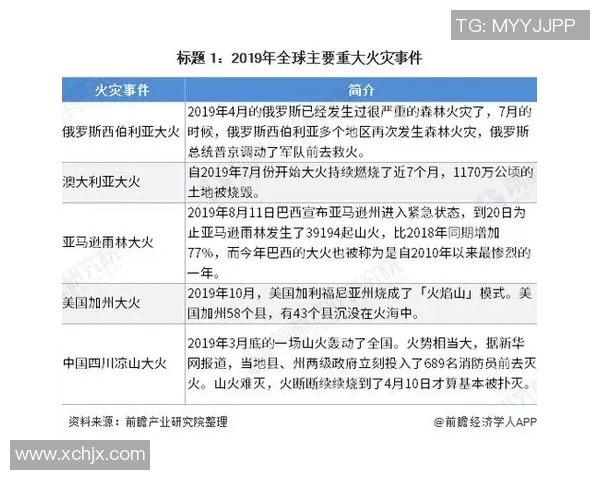 足球明星因火灾事件引发热议背后真相揭秘与影响分析